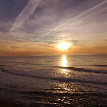 Family Surf -